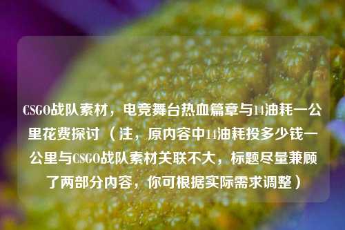 CSGO战队素材，电竞舞台热血篇章与14油耗一公里花费探讨 （注，原内容中14油耗投多少钱一公里与CSGO战队素材关联不大，标题尽量兼顾了两部分内容，你可根据实际需求调整）