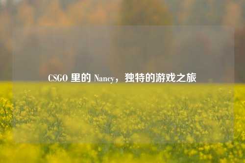 CSGO 里的 Nancy,独特的游戏之旅