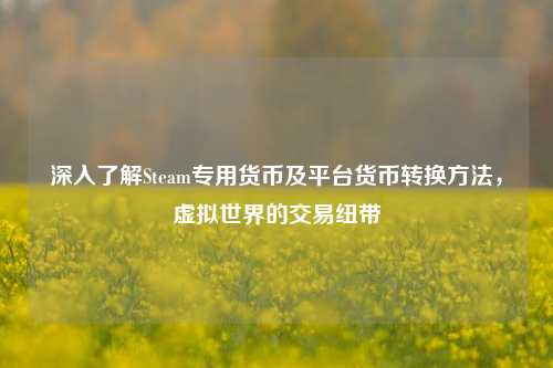 深入了解Steam专用货币及平台货币转换方法,虚拟世界的交易纽带