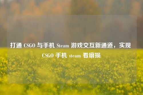 打通 CSGO 与手机 Steam 游戏交互新通道,实现 CSGO 手机 steam 看磨损