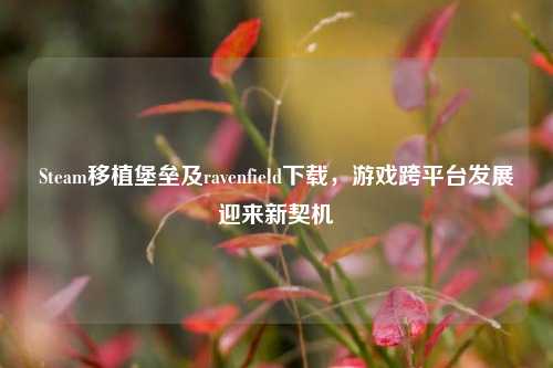 Steam移植堡垒及ravenfield下载,游戏跨平台发展迎来新契机