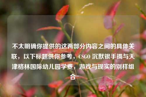 不太明确你提供的这两部分内容之间的具体关联,以下标题供你参考,CSGO 沉默银手镯与天津格林国际幼儿园学费,游戏与现实的别样组合