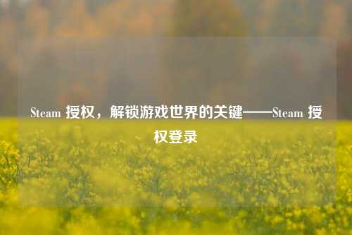 Steam 授权,解锁游戏世界的关键——Steam 授权登录
