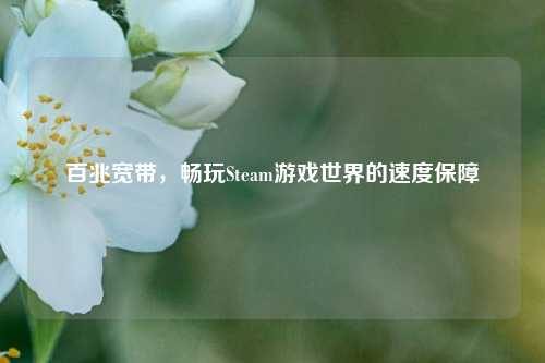 百兆宽带，畅玩Steam游戏世界的速度保障