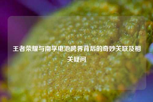 王者荣耀与南孚电池跨界背后的奇妙关联及相关疑问
