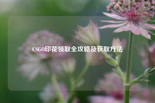 CSGO印花领取全攻略及获取方法