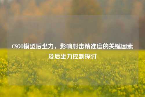 CSGO模型后坐力,影响射击精准度的关键因素及后坐力控制探讨