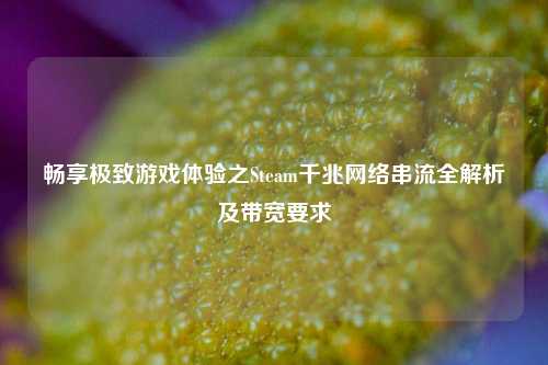 畅享极致游戏体验之Steam千兆网络串流全解析及带宽要求