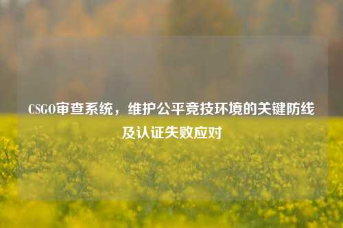 CSGO审查系统,维护公平竞技环境的关键防线及认证失败应对