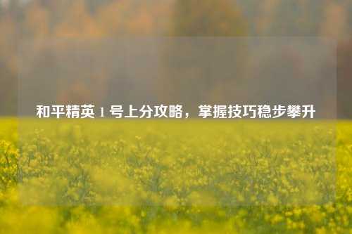 和平精英 1 号上分攻略,掌握技巧稳步攀升