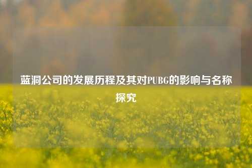 蓝洞公司的发展历程及其对PUBG的影响与名称探究