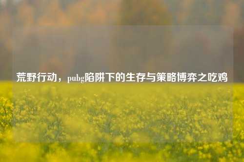 荒野行动,pubg陷阱下的生存与策略博弈之吃鸡
