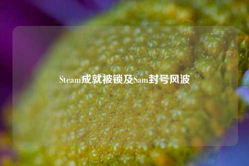 Steam成就被锁及Sam封号风波