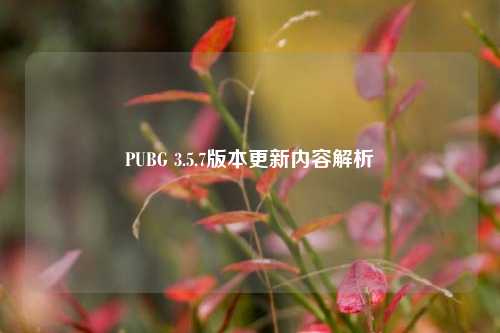 PUBG 3.5.7版本更新内容解析