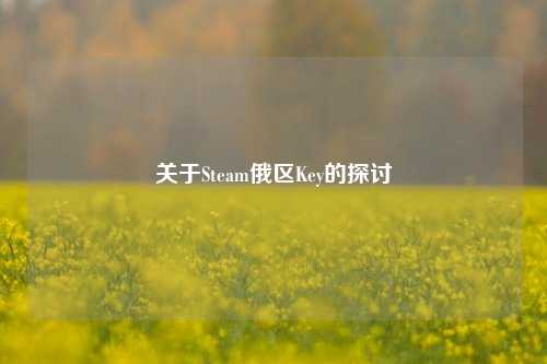 关于Steam俄区Key的探讨