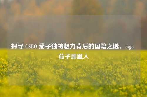 探寻 CSGO 茄子独特魅力背后的国籍之谜,csgo 茄子哪里人