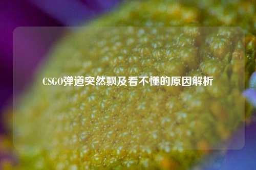 CSGO弹道突然飘及看不懂的原因解析