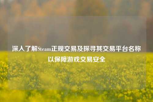 深入了解Steam正规交易及探寻其交易平台名称以保障游戏交易安全