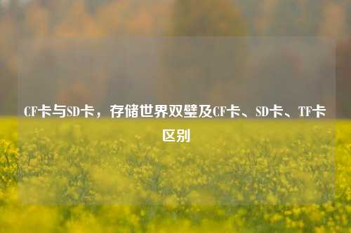 CF卡与SD卡，存储世界双璧及CF卡、SD卡、TF卡区别
