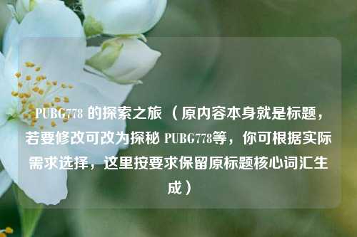 PUBG778 的探索之旅 (原内容本身就是标题,若要修改可改为探秘 PUBG778等,你可根据实际需求选择,这里按要求保留原标题核心词汇生成)
