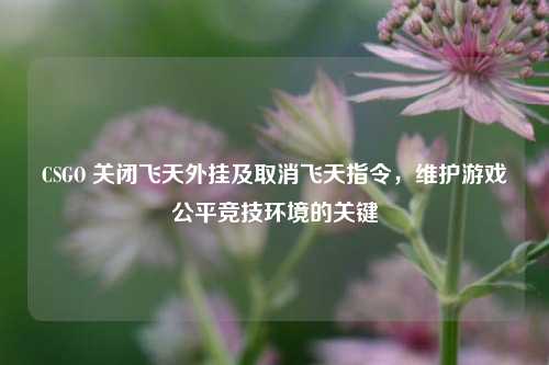 CSGO 关闭飞天外挂及取消飞天指令，维护游戏公平竞技环境的关键