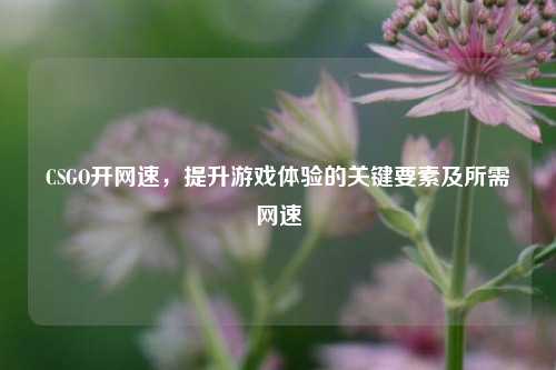 CSGO开网速,提升游戏体验的关键要素及所需网速