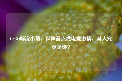 CSGO解说小菊，以声音点燃电竞激情，其人究竟是谁？