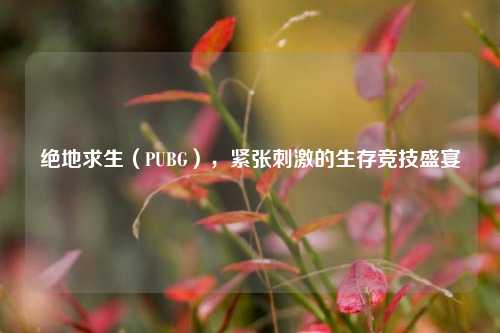 绝地求生(PUBG),紧张刺激的生存竞技盛宴