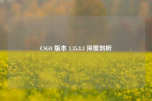 CSGO 版本 1.35.8.3 深度剖析