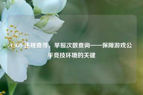 CSGO 违规查寻，举报次数查询——保障游戏公平竞技环境的关键