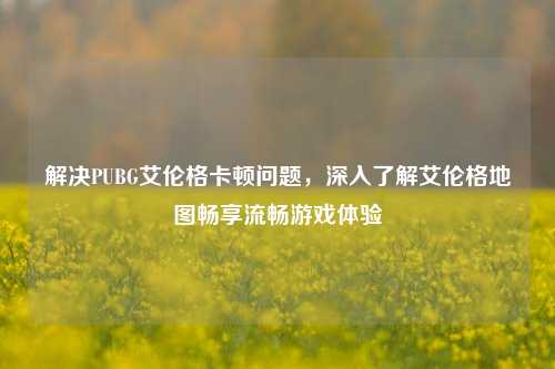 解决PUBG艾伦格卡顿问题,深入了解艾伦格地图畅享流畅游戏体验