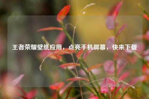 王者荣耀壁纸应用,点亮手机屏幕,快来下载