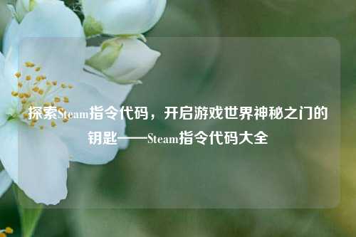 探索Steam指令代码,开启游戏世界神秘之门的钥匙——Steam指令代码大全