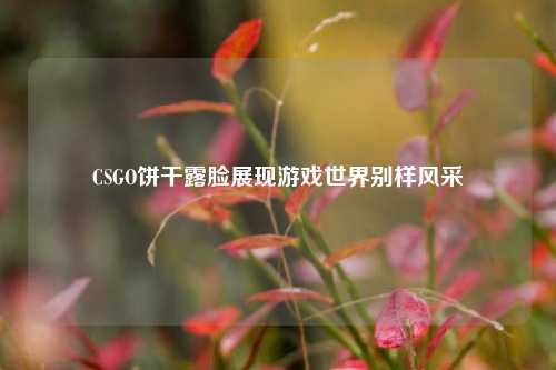 CSGO饼干露脸展现游戏世界别样风采