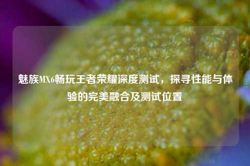 魅族MX6畅玩王者荣耀深度测试,探寻性能与体验的完美融合及测试位置