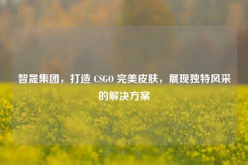 智晟集团，打造 CSGO 完美皮肤，展现独特风采的解决方案
