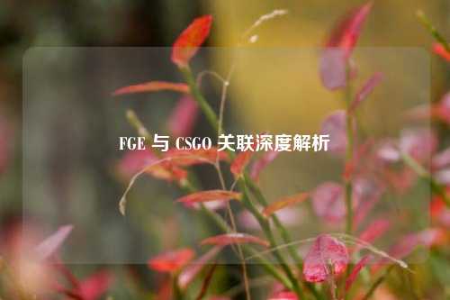 FGE 与 CSGO 关联深度解析