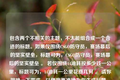 包含两个不相关的主题,不太能组合成一个合适的标题。如果仅围绕CSGO防守员,赛场幕后的坚实壁垒,标题可为,CSGO防守员,赛场幕后的坚实壁垒 。 若仅围绕14油耗投多少钱一公里,标题可为,14油耗一公里花费几何 。 请你明确一下需求,以便我更准确为你生成标题 。
