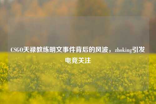 CSGO天禄教练明文事件背后的风波,zhoking引发电竞关注