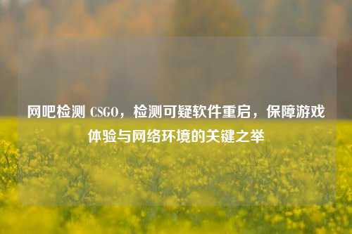 网吧检测 CSGO,检测可疑软件重启,保障游戏体验与网络环境的关键之举