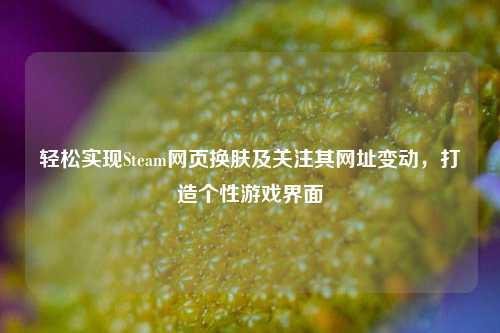 轻松实现Steam网页换肤及关注其网址变动,打造个性游戏界面