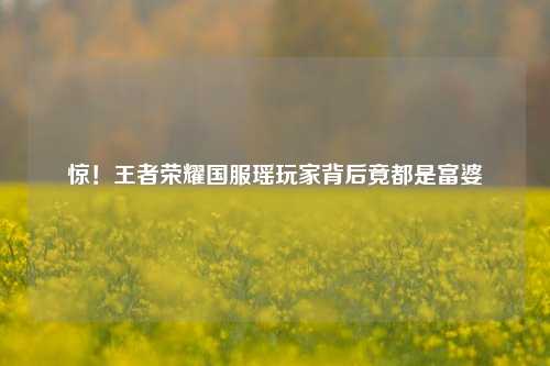 惊！王者荣耀国服瑶玩家背后竟都是富婆