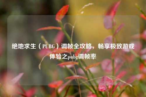 绝地求生(PUBG)调帧全攻略,畅享极致游戏体验之pubg调帧率
