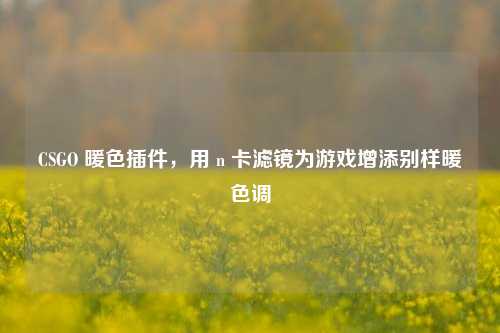 CSGO 暖色插件，用 n 卡滤镜为游戏增添别样暖色调