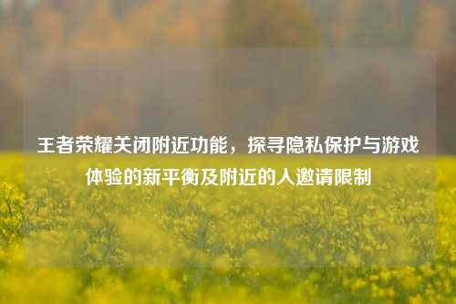 王者荣耀关闭附近功能,探寻隐私保护与游戏体验的新平衡及附近的人邀请限制