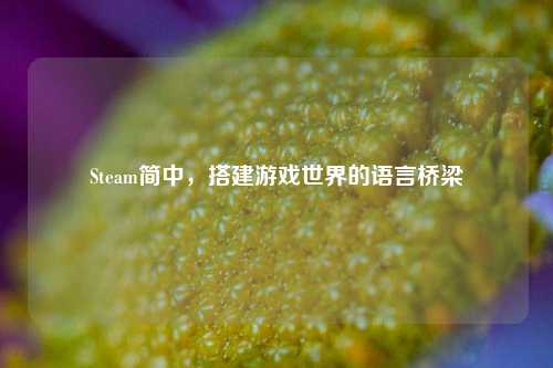 Steam简中,搭建游戏世界的语言桥梁
