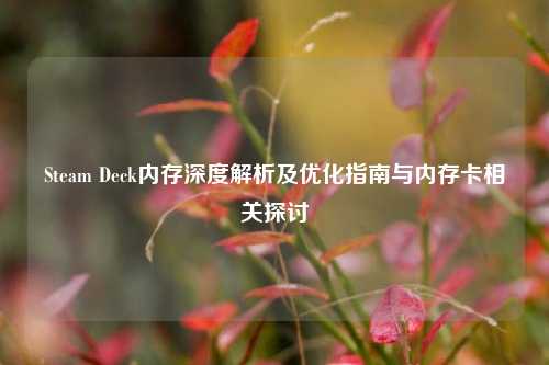 Steam Deck内存深度解析及优化指南与内存卡相关探讨