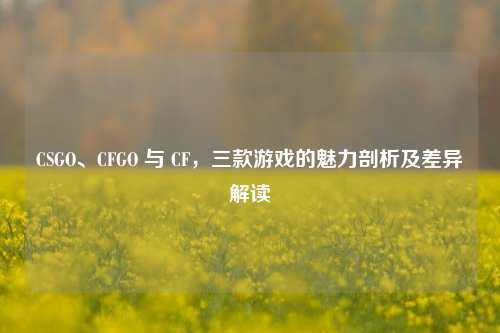 CSGO、CFGO 与 CF,三款游戏的魅力剖析及差异解读
