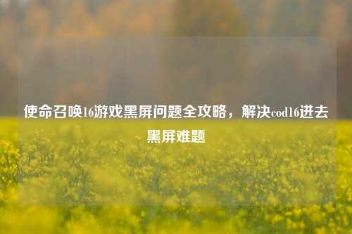 使命召唤16游戏黑屏问题全攻略,解决cod16进去黑屏难题
