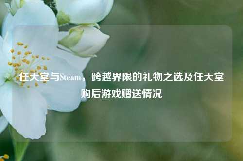 任天堂与Steam，跨越界限的礼物之选及任天堂购后游戏赠送情况